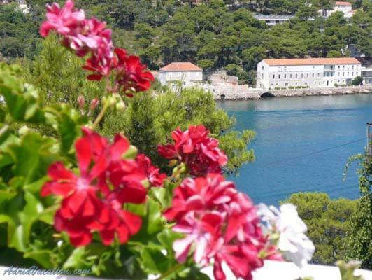 Blue Jelsa Apartment *